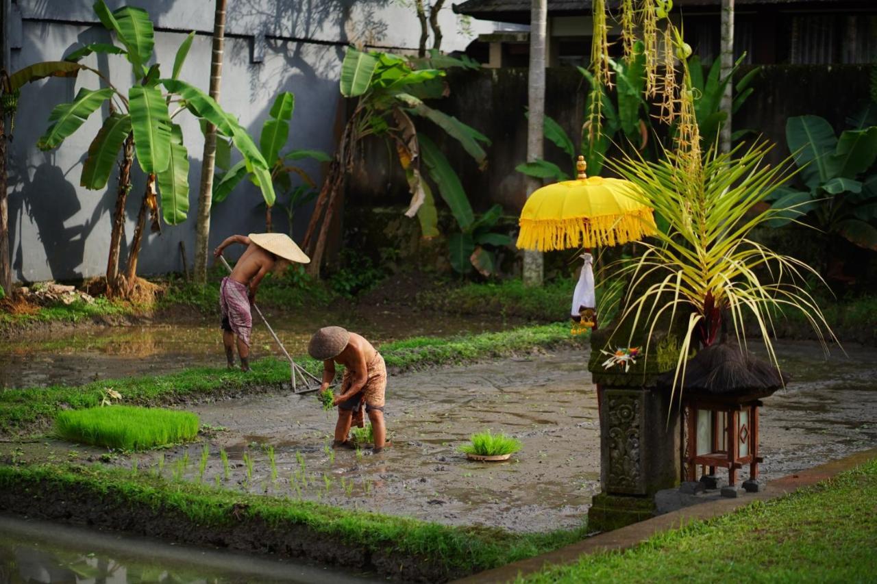 Umae Villa Ubud Экстерьер фото